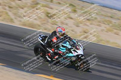 media/Nov-11-2023-SoCal Trackdays (Sat) [[efd63766ff]]/Turn 12 Inside (940am)/